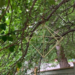 Umbra geometric air plant hangers